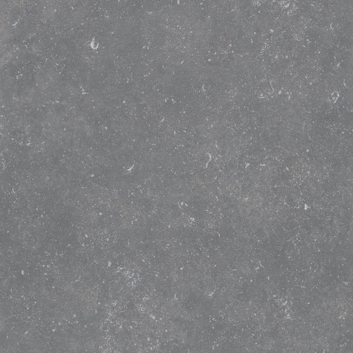 Belgium Stone Grey 60x60 rect - WDtegels